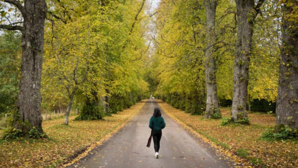 Benefits of nature walks
