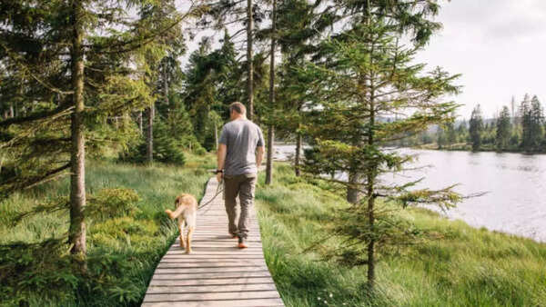 Why should you have 20-minute nature walks?