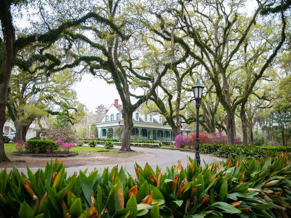Myrtles