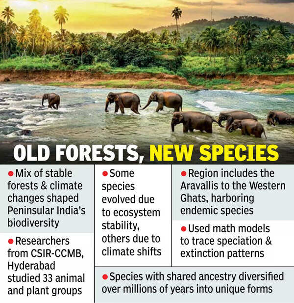 Stable forests key to south India’s unique biodiversity
