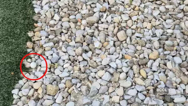 Photo credit: Reddit