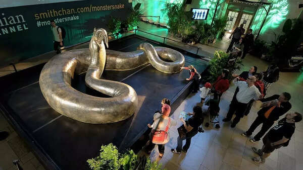 Titanoboa