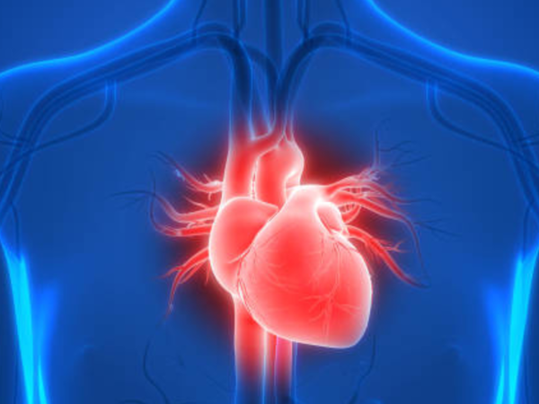 Boosts heart health
