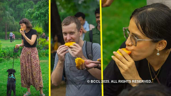 Mango mania gripped aam lovers
