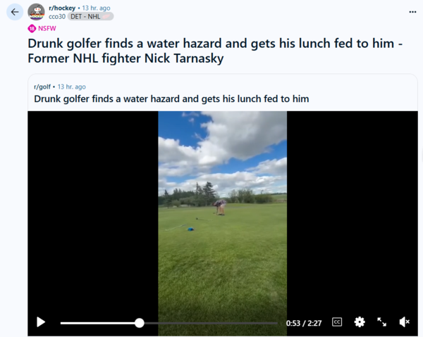 NHL-Former NHL enforcer Nick Tarnasky destroys drunk man in wild viral golf course brawl