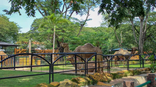 Zoo