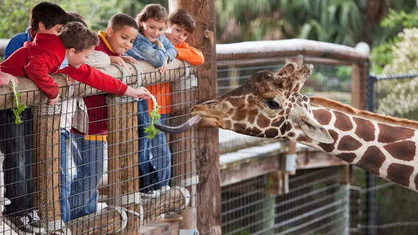 Zoo