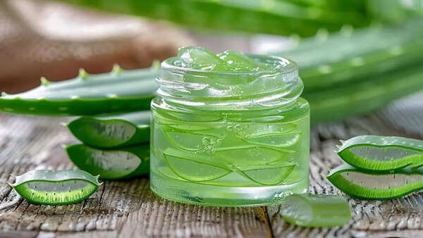 Aloe Vera (1)