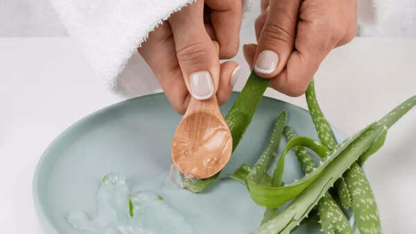 Aloe Vera (2)