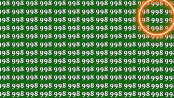 optical illusion  (3)