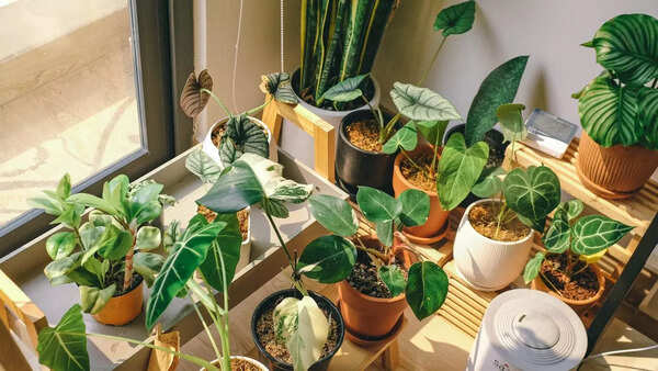 வெப்பநிலை மற்றும் காற்று சுழற்சியை பராமரித்தல்
