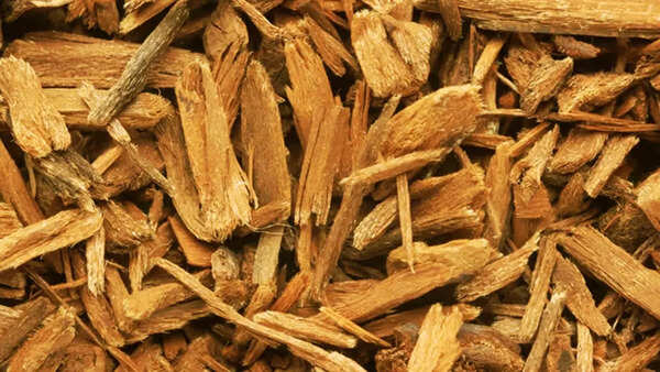 Supplements (21)