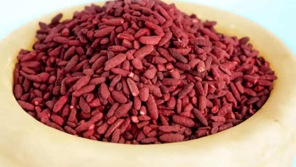 Supplements (22)