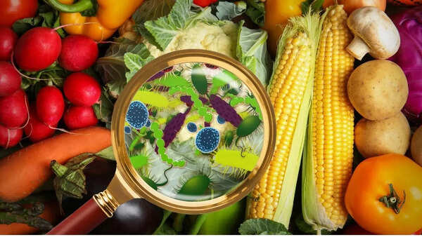 Causes of food poisoning