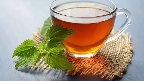 பச்சை தேநீர்