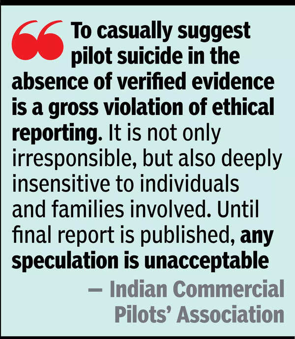 AI pilots’ association lashes out at ‘insinuation of suicide’
