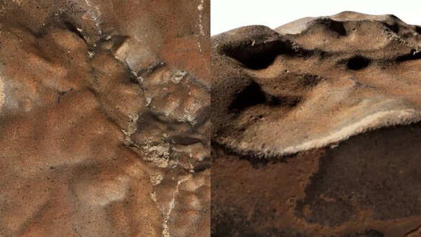Source: Sotheyby's Largest piece of Mars rock ever found heads to auction in New York