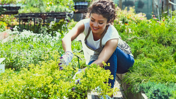 Using lemon peels in garden