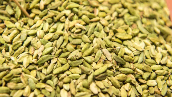 Cardamom