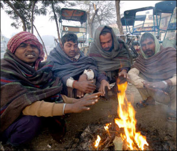 Cold wave in north India kills over 150 | India News - Times of India