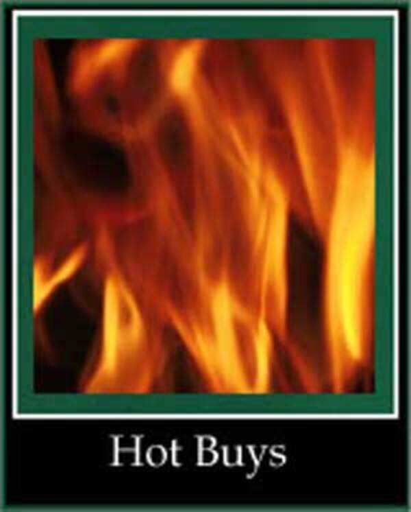 Hot tech buys for 2006 - Times of India