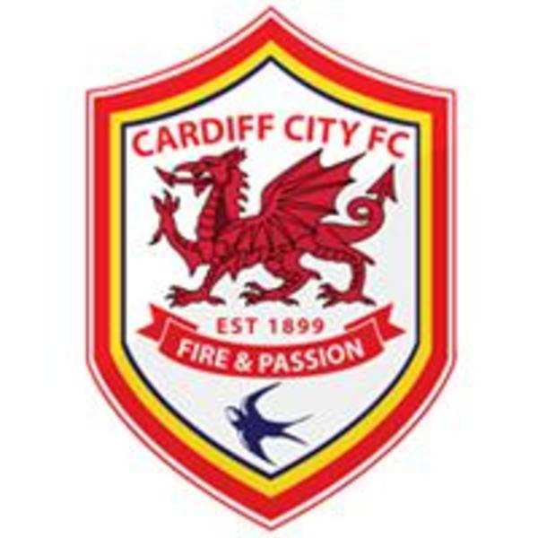 Cardiff City EPL Team 2013  English Premier League Team