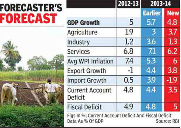 RBI lowers FY14 GDP growth to 4.8% - Times of India