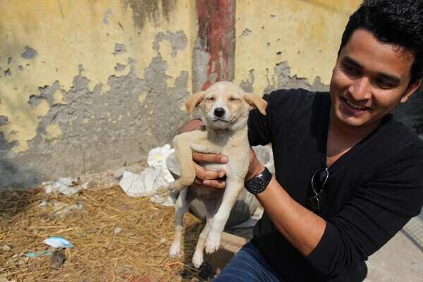 Take the e-way to animal care | Lucknow News - Times of India Take the e-way to animal care | Lucknow News - Times of India
