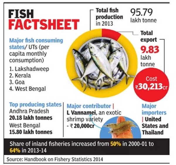 Lakshadweep tops in fish consumption, Bengal 4th India News Times