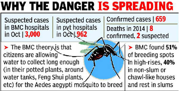 4,000 Mumbaikars hit by dengue in October, admits BMC | Mumbai News ...