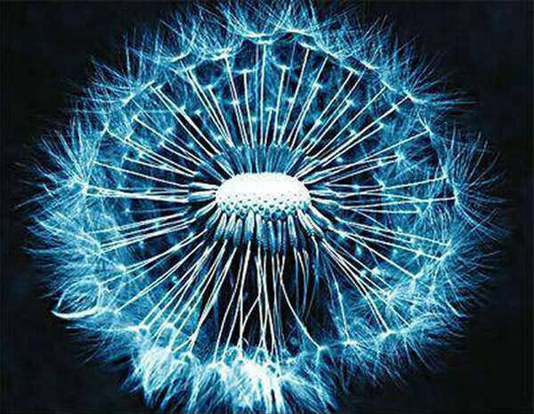 Stem cells used to create artificial sperm, egg - Times of India