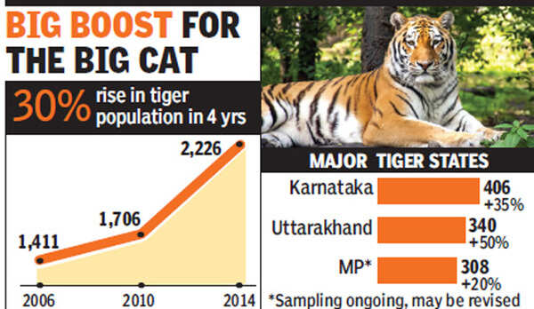 Tiger numbers grow by 30% in 4 years: Can forests sustain India's Big ...