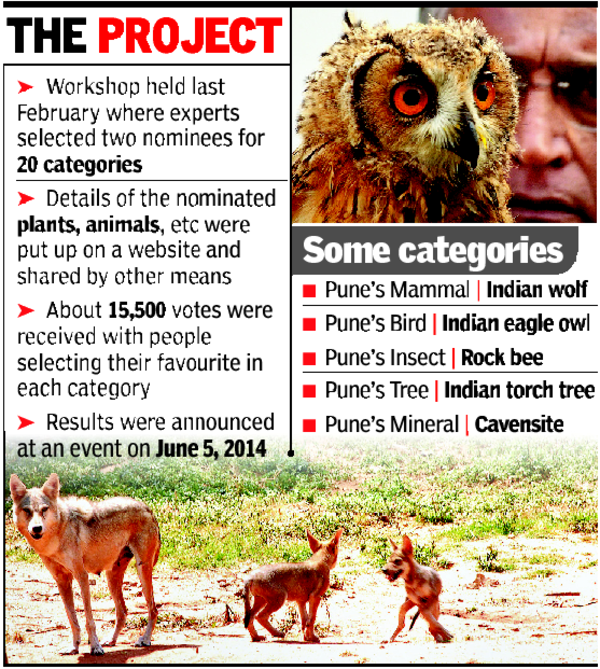 Pune district awaits official animal, plant, bird | Pune News - Times of India Pune district awaits official animal, plant, bird | Pune News - Times of India