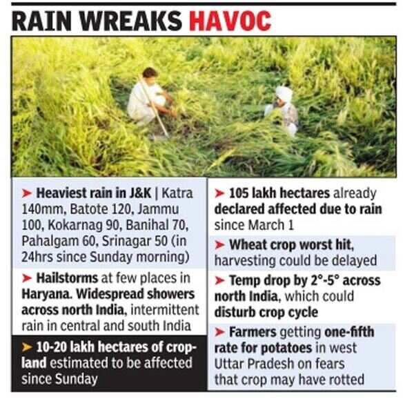 Rain sweeps across India, may hit crops in 20 lakh hectares | India ...