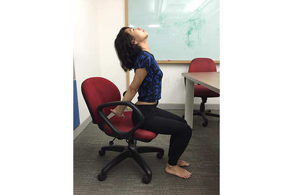 Seated Yoga: 16 Chair Yoga Poses For Beginners