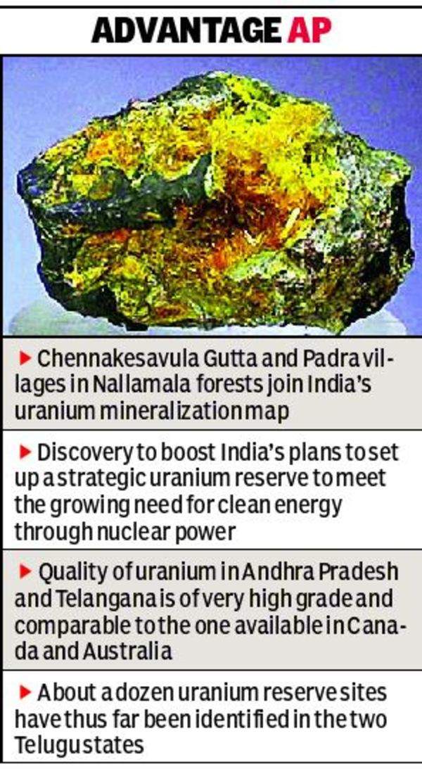 Major Uranium Reserves Found In Srisailam Forests India News Times Of India