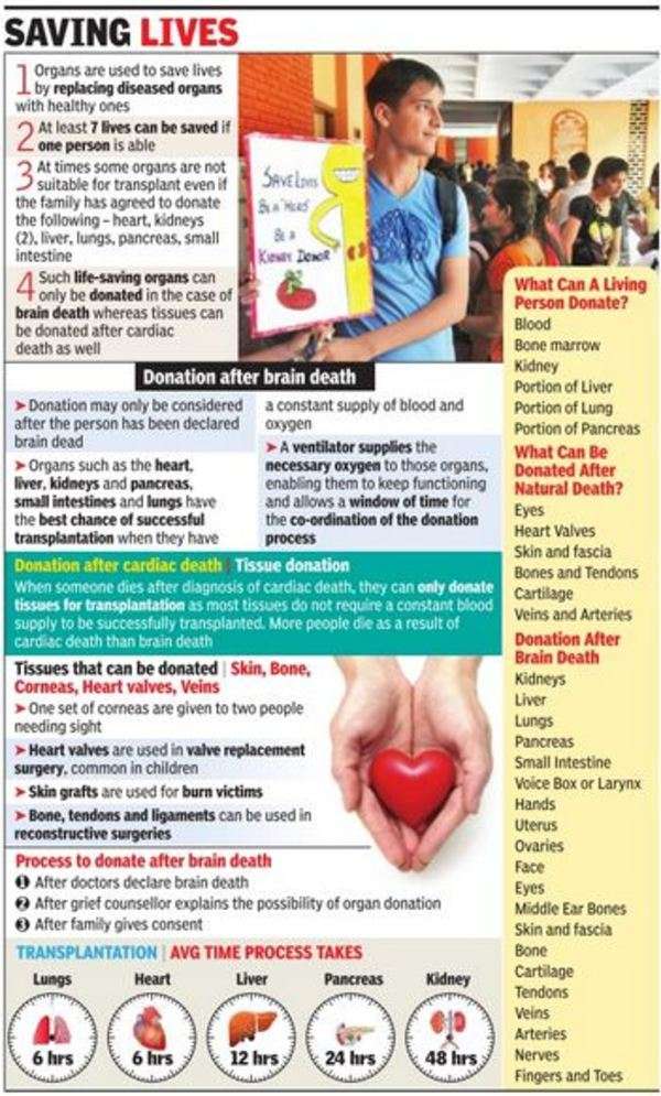 who-can-donate-organs-in-india-when-and-how-india-news-times-of-india