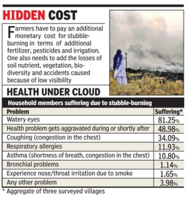 Stubble burning costs Punjab farmers Rs 7.6cr per year in medical bills
