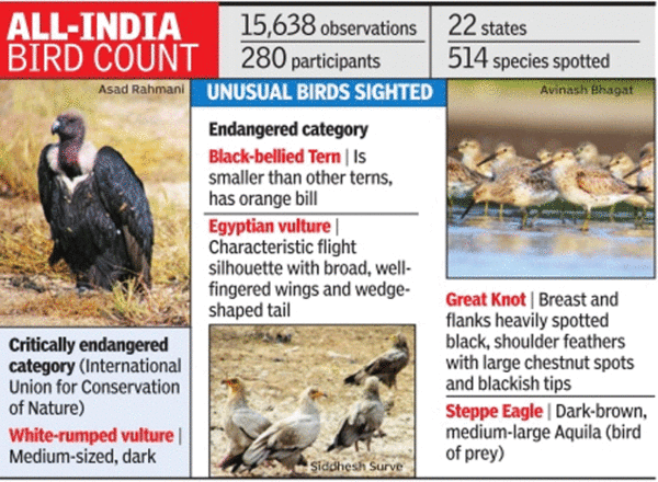 research paper on birds in india