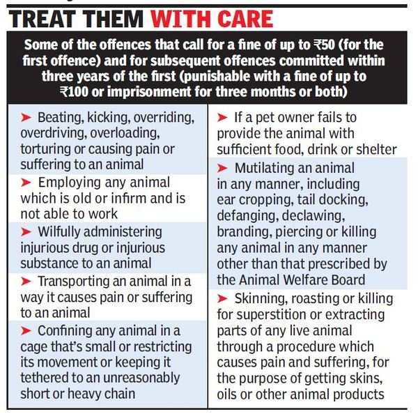 Paltry fine of Rs 50 allows abusers to get away with animal cruelty | India  News - Times of India
