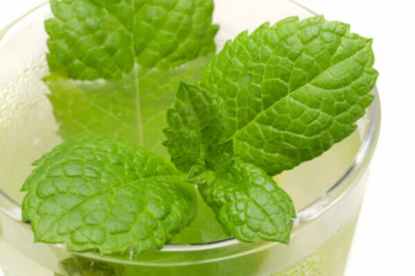 5 ways you can use mint in your kitchen this summer - Times of India