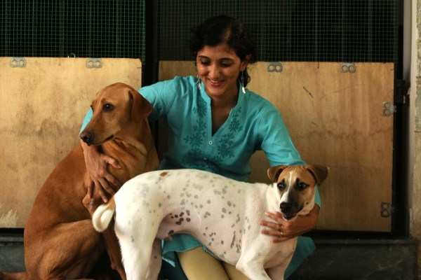 The long-distance animal healer - Times of India