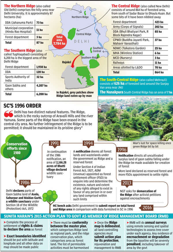 Apathy over years kills 20% of Ridge | Delhi News - Times of India