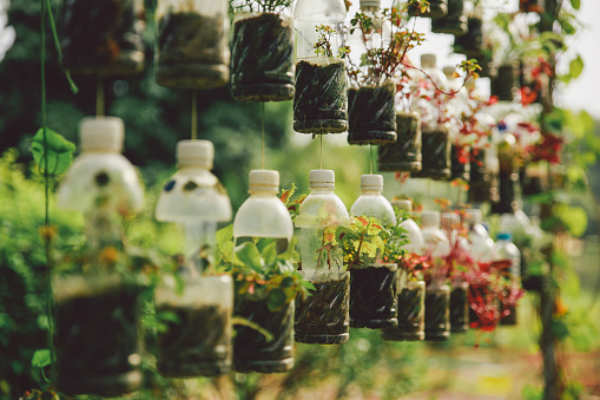How to make your own tiny garden in a big city - Times of India