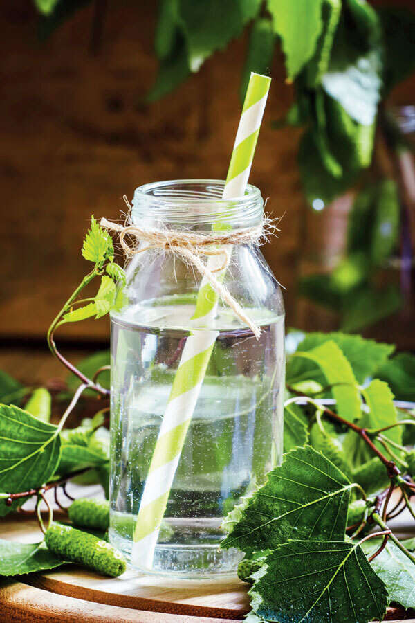 Birch water to black rice: Here are the new superfoods - Times of India