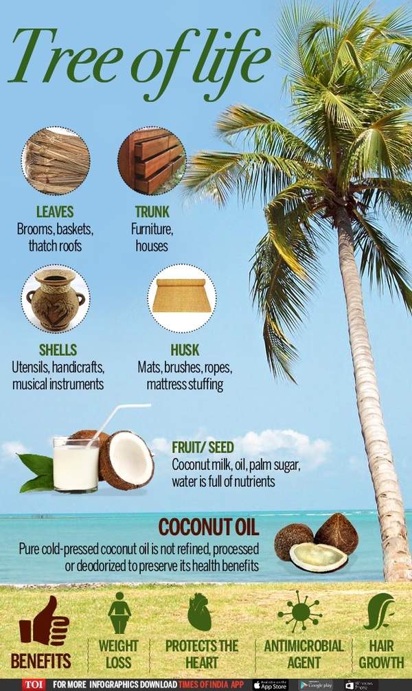 People are incorporating coconut oil in their diet | India News - Times ...