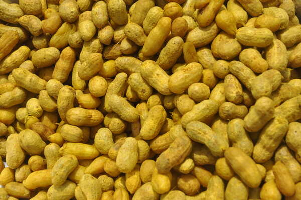 BoiledPeanuts(2)
