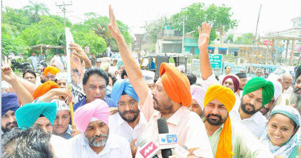 AAP_PROTEST+ED