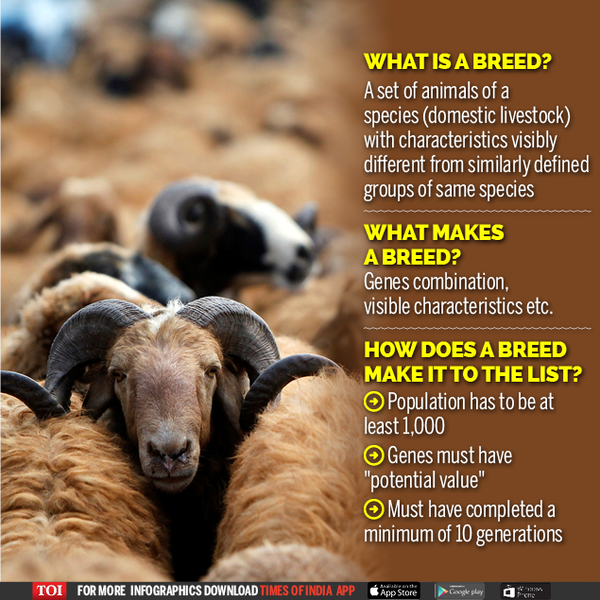 Indian 'citizenship' for several domesticated animal breeds | India News -  Times of India