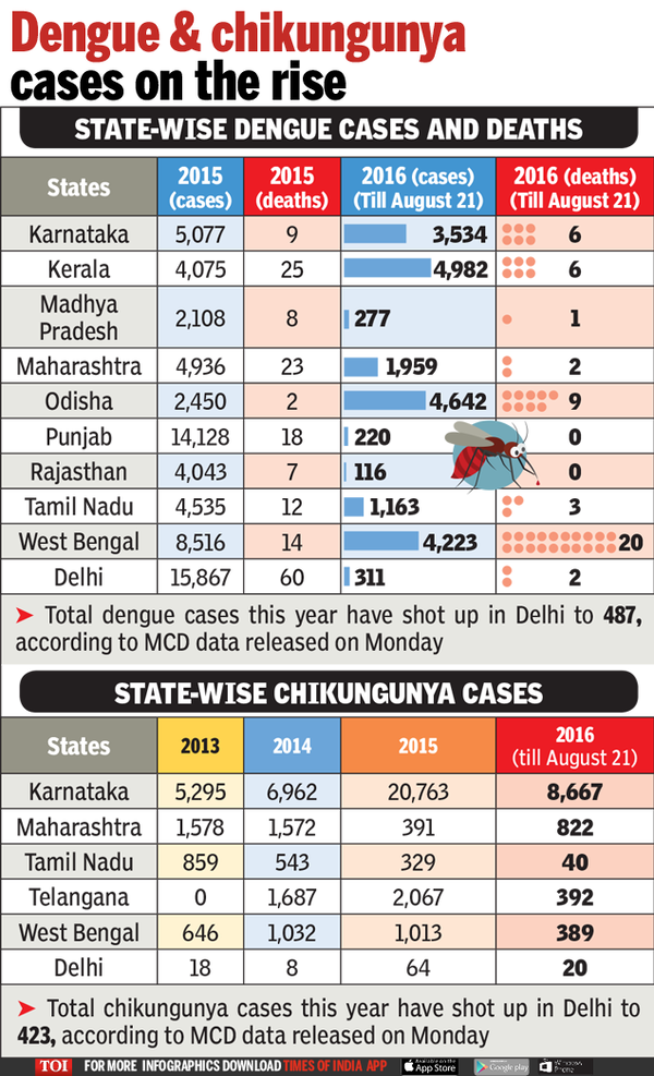 Dengue & chikungunya cases on the rise | India News - Times of India